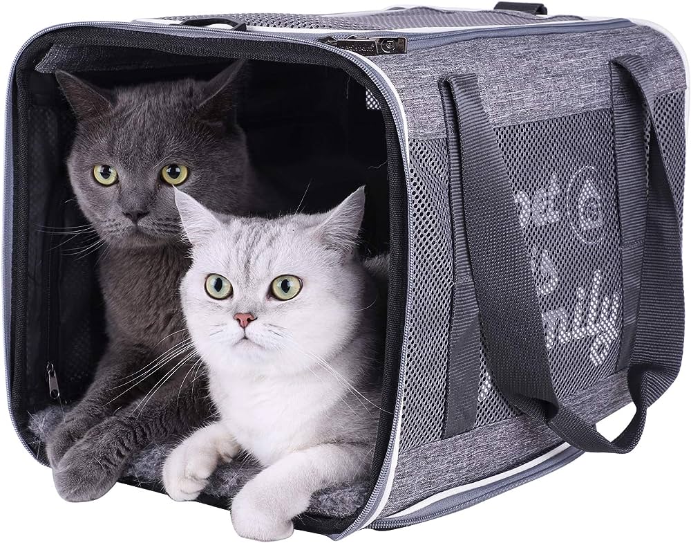 Cat - Carriers & Travel