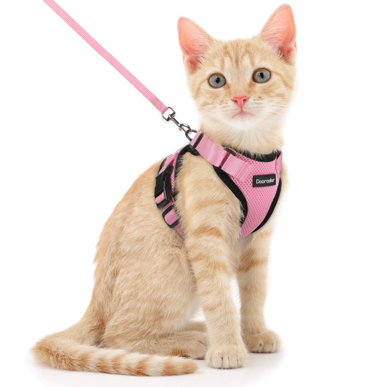 Cat - Leashes, Collars & Harnesses
